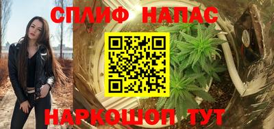 гашик Канаш