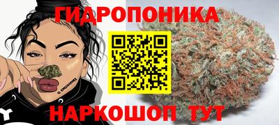 2c-b Кандалакша