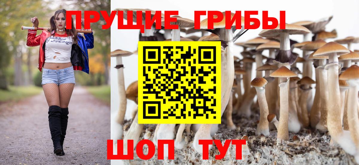 Псилоцибиновые грибы мухоморы  Вход с VPN  Галлюциногенные грибы Cubensis  Коркино 