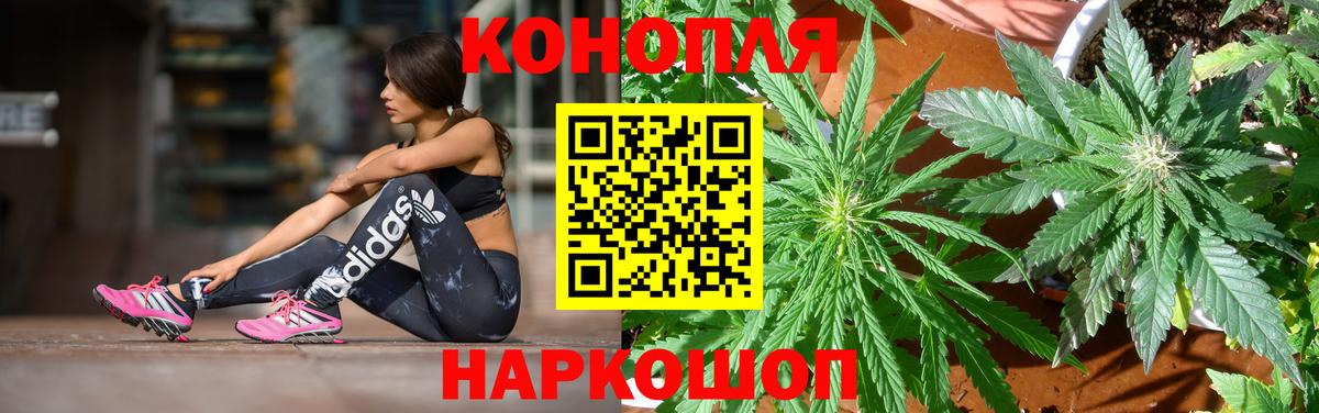 МАРИХУАНА планчик Коркино